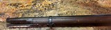 springfield model 1873 musket 45-70 - 12 of 15