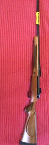 Mossberg Patriot 25-06 - 3 of 12