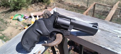 44 TAURUS TRACKER - Image 1 of 12