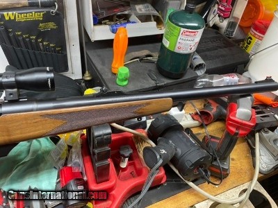 Browning A Bolt fully rifled slug gun.