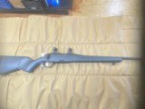 Steyr safeboltsbs 96 270win - 1 of 6