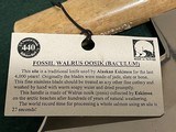 Fossil Walrus Ooosk (Baculum) Ulu Knife - 7 of 7