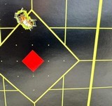 Sodia Stalking Rifle - 10 of 11