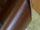 CZ 455 American 17 HMR with Standard (Sporter Contour) Barrel - 7 of 13