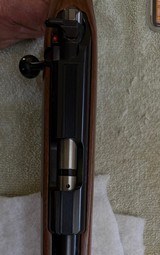CZ 455 American 17 HMR with Standard (Sporter Contour) Barrel - 10 of 13