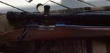 Winchester Mod 70 Sporter Varmint 22-250 w/ Nikon 6.5x20x44 Scope - 12 of 12