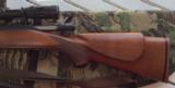 Winchester Mod 70 Sporter Varmint 22-250 w/ Nikon 6.5x20x44 Scope - 9 of 12