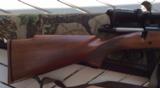 Winchester Mod 70 Sporter Varmint 22-250 w/ Nikon 6.5x20x44 Scope - 11 of 12