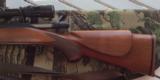 Winchester Mod 70 Sporter Varmint 22-250 w/ Nikon 6.5x20x44 Scope - 10 of 12