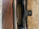 Winchester model 70 300 H&H - 11 of 14