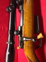 Krico Kriegeskorte - 14 of 14