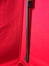 Krico Kriegeskorte - 11 of 14