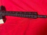 BUSHMASTER XM15-E2S Custom - 5 of 10