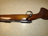 Winchester Model 70 pre 64 in 300 Weatherby - 7 of 15