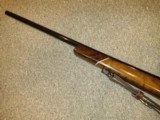 Springfield 1903 Hunting Rifle in 30-06 - 4 of 13