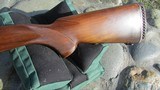 Winchester Model 70 Pre-64 Standard Walnut Tang Stock - 6 of 15