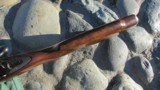 Winchester Model 70 Pre-64 Featherweight 243 Cal. 1960 - 13 of 15