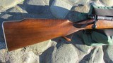 Winchester Model 70 Pre-64 Featherweight 243 Cal. 1960 - 2 of 15