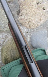 WINCHESTER MODEL 70 PRE-64 VARMINT - 12 of 15