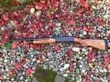Remington 870 20ga 21” NEW - 4 of 5