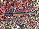 Remington 870 20ga 21” NEW - 5 of 5