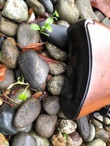 Ruger 44 Carbine- Like New - 5 of 5