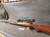 CZ 550 270 with Leupold 3X9 - 15 of 15