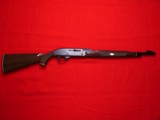 Remington Nylon 66 .22LR - 1 of 17