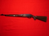 Remington Nylon 66 .22LR - 6 of 17