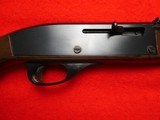 Remington Nylon 66 .22LR - 2 of 17