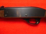 Remington Nylon 66 .22LR - 7 of 17
