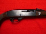 Remington nylon 66 Bicentennial .22 LR - 7 of 16