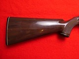 Remington nylon 66 Bicentennial .22 LR - 6 of 16