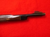 Remington nylon 66 Bicentennial .22 LR - 9 of 16