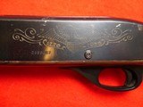 Remington nylon 66 Bicentennial .22 LR - 16 of 16