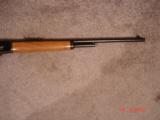 MarlinModel 1894 CL .25/20Win.Mint Carbine MFG 1988 Mint Unfired? - 7 of 9
