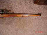 Mannlicher Schoenauer Carbine .257Rbts. Mod.1950 GH Mounts Unertl Falcon Scope - 4 of 14