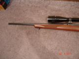 Ruger Mod. 77/22 RH Hard to find .22 Hornet Near Mint With Ruger rings 6 Round rotory Mag. Tasco
Target 6x24x40 AO Scope - 6 of 10