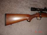 Ruger Mod. 77/22 RH Hard to find .22 Hornet Near Mint With Ruger rings 6 Round rotory Mag. Tasco
Target 6x24x40 AO Scope - 2 of 10