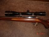 Ruger Mod. 77/22 RH Hard to find .22 Hornet Near Mint With Ruger rings 6 Round rotory Mag. Tasco
Target 6x24x40 AO Scope - 5 of 10