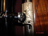 Anschutz Very Rare Model 1533 Mannlicher Carbine Factory Engraved Silver Rec. .222Rem. Cal. Mint MFG 1975 - 14 of 15