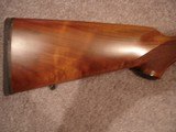 Ruger #1-A Light Sporter .303 British MFG 2010 NIB 1 of 250Very Nice WalnutHard to find Little gem. - 4 of 12