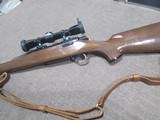 Browning A Bolt .243