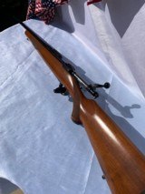 Ruger M77 250 Savage - 6 of 9