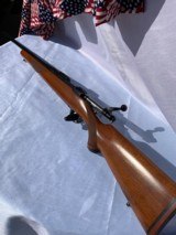Ruger M77 250 Savage - 8 of 9