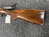 Winchester Model 70 (pre 64) featherweight .243 - 3 of 10