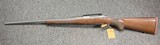 Ruger M77 Hawkeye Stainless .204 Ruger 24
