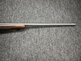 Ruger M77 Hawkeye Stainless .204 Ruger 24