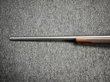 Ruger M77 Hawkeye Stainless .204 Ruger 24