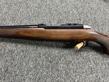 NIB Ruger 77/17 .17 WSM 20